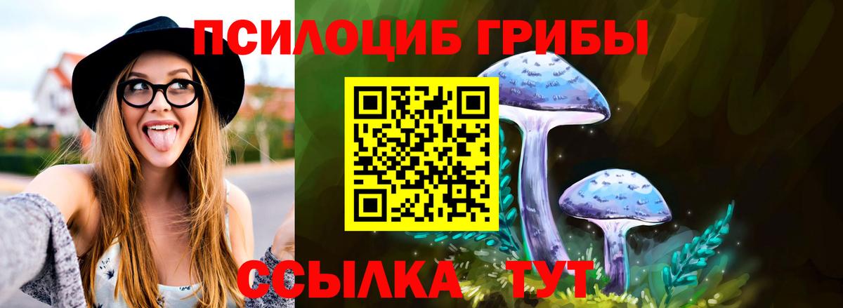 Благовещенск  где продают наркотики  Вход с VPN  Псилоцибиновые грибы прущие грибы 